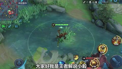 小飞棍王者爆料视频,独家爆料视频深度解析  第1张