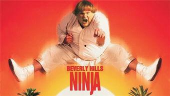 比佛利武士在线观看,在线观看，领略加州海岸的传奇风采  第3张